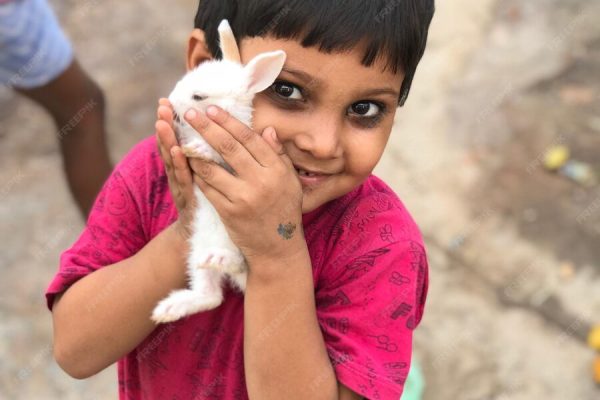 boy holding rabbit boy holding rabbit